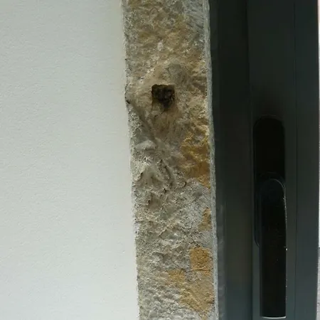 Accommodatie bij particulieren Blue House - Santa Marta Ii